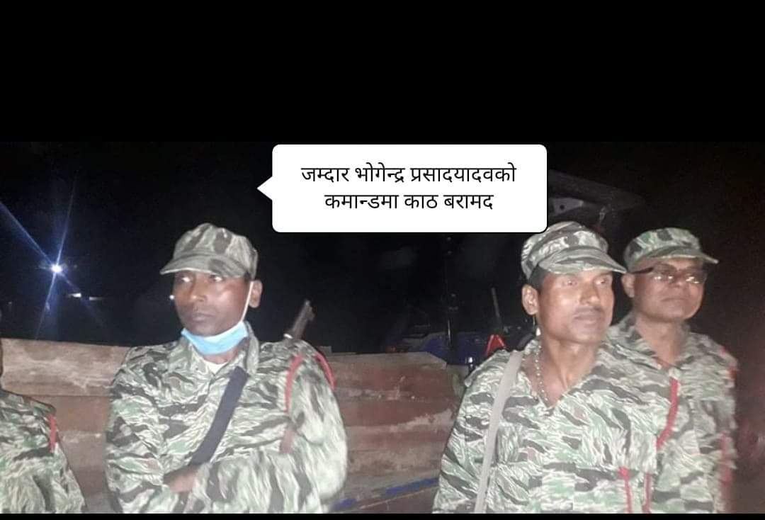 डिभिजन वन कार्यलय लहानद्धारा ठुलो परिमाणको काठ बरामद